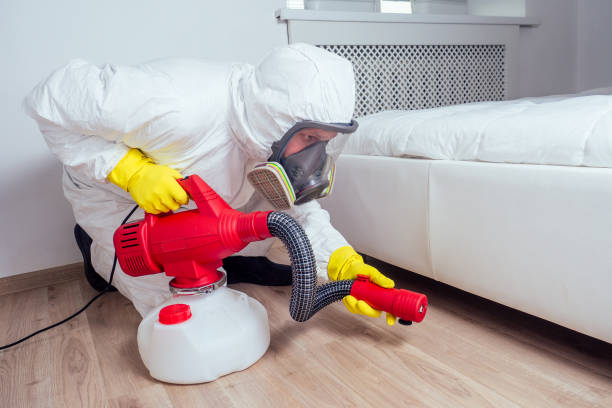 bed bugs in Greenville